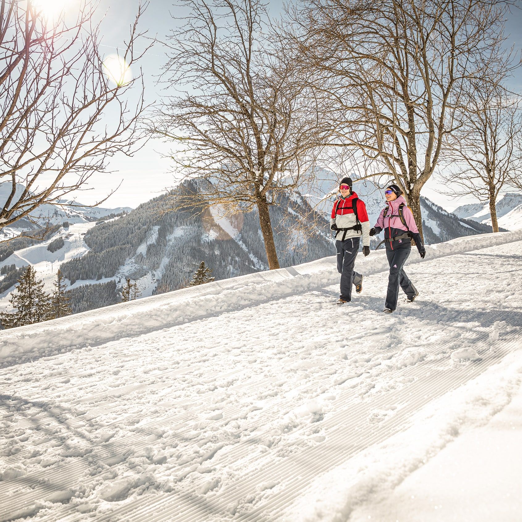 Winterwandern 5