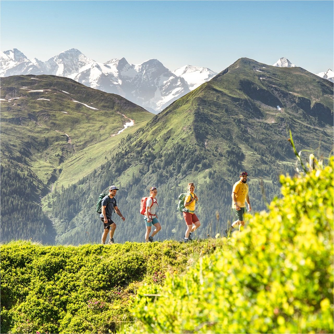 Wandern 1