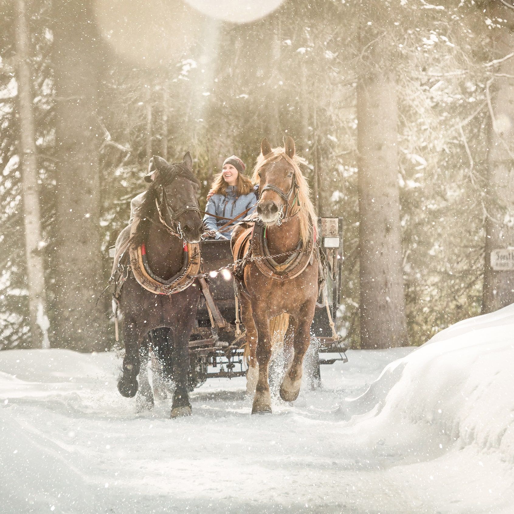 Winterwandern 2